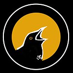  Designer Brands - blackbird