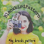  Designer Brands - BlackbirdPattern