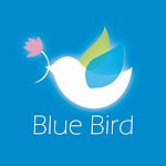  Designer Brands - Blue Bird wool felt