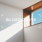 設計師品牌 - BLUEDOG276