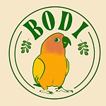 設計師品牌 - 寶弟の雜貨鋪 Bodi's Grocery