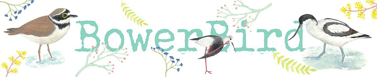 設計師品牌 - 園丁鳥 bowerbird