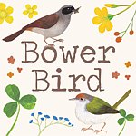 設計師品牌 - 園丁鳥 bowerbird