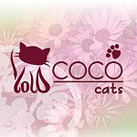 デザイナーブランド - cococats