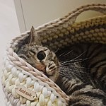 デザイナーブランド - CrochetCatBasket