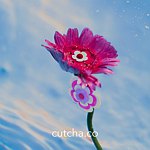 設計師品牌 - cutcha.co