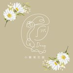 小雛菊花圓/Daisy flower