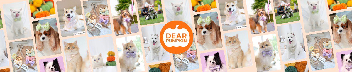  Designer Brands - Dear Pumpkin