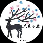  Designer Brands - Deer&Flora