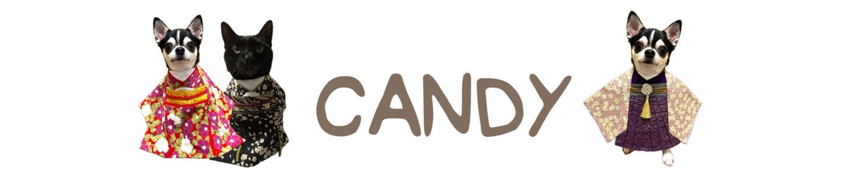  Designer Brands - dog-care-salon-candy