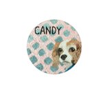  Designer Brands - dog-care-salon-candy