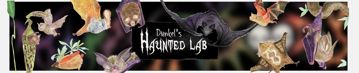 แบรนด์ของดีไซเนอร์ - Dunkel's Haunted Lab ห้องทดลองมอนสเตอร์