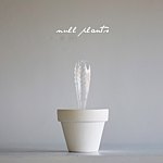 設計師品牌 - NULL PLANTS