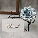  Designer Brands - eternal-flower