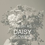  Designer Brands - freshasdaisyflower