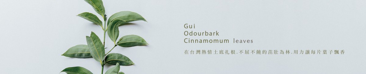 デザイナーブランド - gui-taiwancinnamon