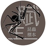 設計師品牌 - 賦生_昆蟲標本製作