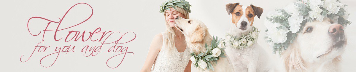 Flower garland for wedding dog