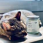 デザイナーブランド - katze