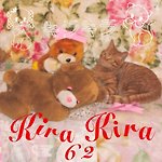  Designer Brands - kirakira62