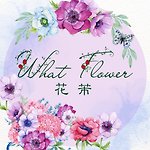 花芾 What Flower