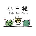 デザイナーブランド - LittleDayPlants