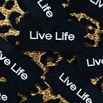  Designer Brands - livelifestore