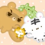 美吉熊&爆爆熊maggieboombear