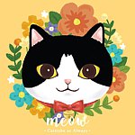 設計師品牌 - Meow