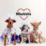 แบรนด์ของดีไซเนอร์ - missvava