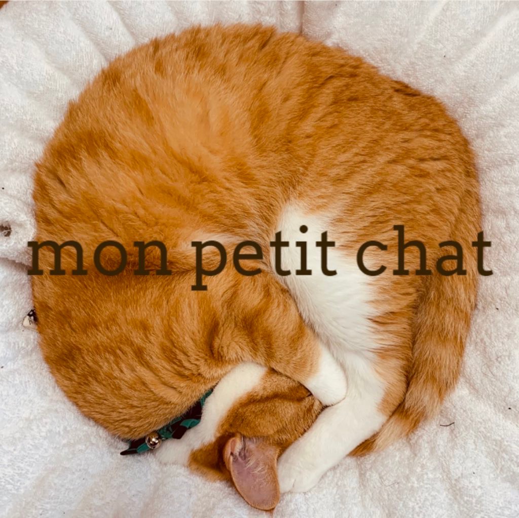 mon petit chat - 官方線上商店 | Pinkoi 設計新上架