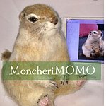 デザイナーブランド - MoncheriMOMO-woolfelt