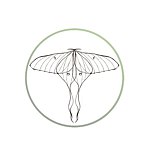 デザイナーブランド - mothcandle