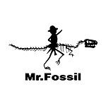 mrfossil