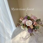 mysteriousforest