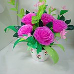  Designer Brands - nasa2465