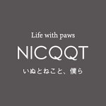 nicqqt