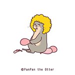 PanPan the Otter