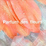 設計師品牌 - PARFUM DES FLEURS