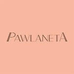 แบรนด์ของดีไซเนอร์ - Pawlaneta