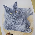 佑子畫一畫|手繪客製|寵物肖像|色鉛筆