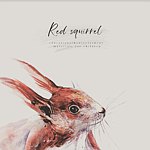 デザイナーブランド - RedSquirrel