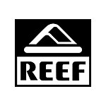  Designer Brands - REEF Taiwan