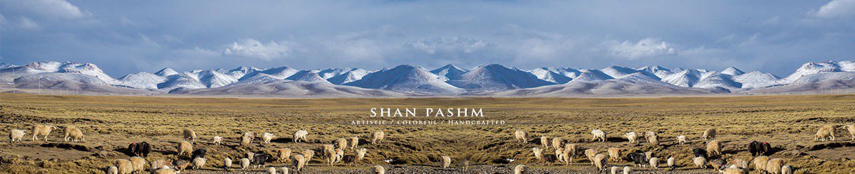 แบรนด์ของดีไซเนอร์ - Shan Pashm｜ผ้าพันคอหัตถกรรมและประดับ