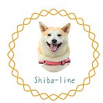shiba-line