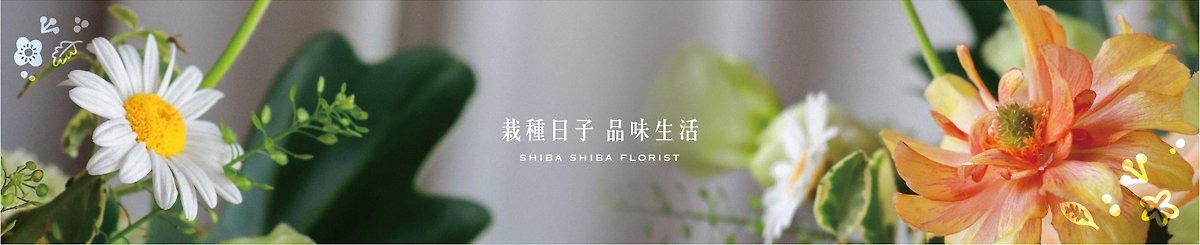  Designer Brands - shibashiba2016