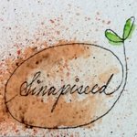  Designer Brands - sinapiseed