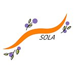  Designer Brands - sola-flower