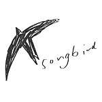 設計師品牌 - songbirdth