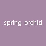 spring orchid